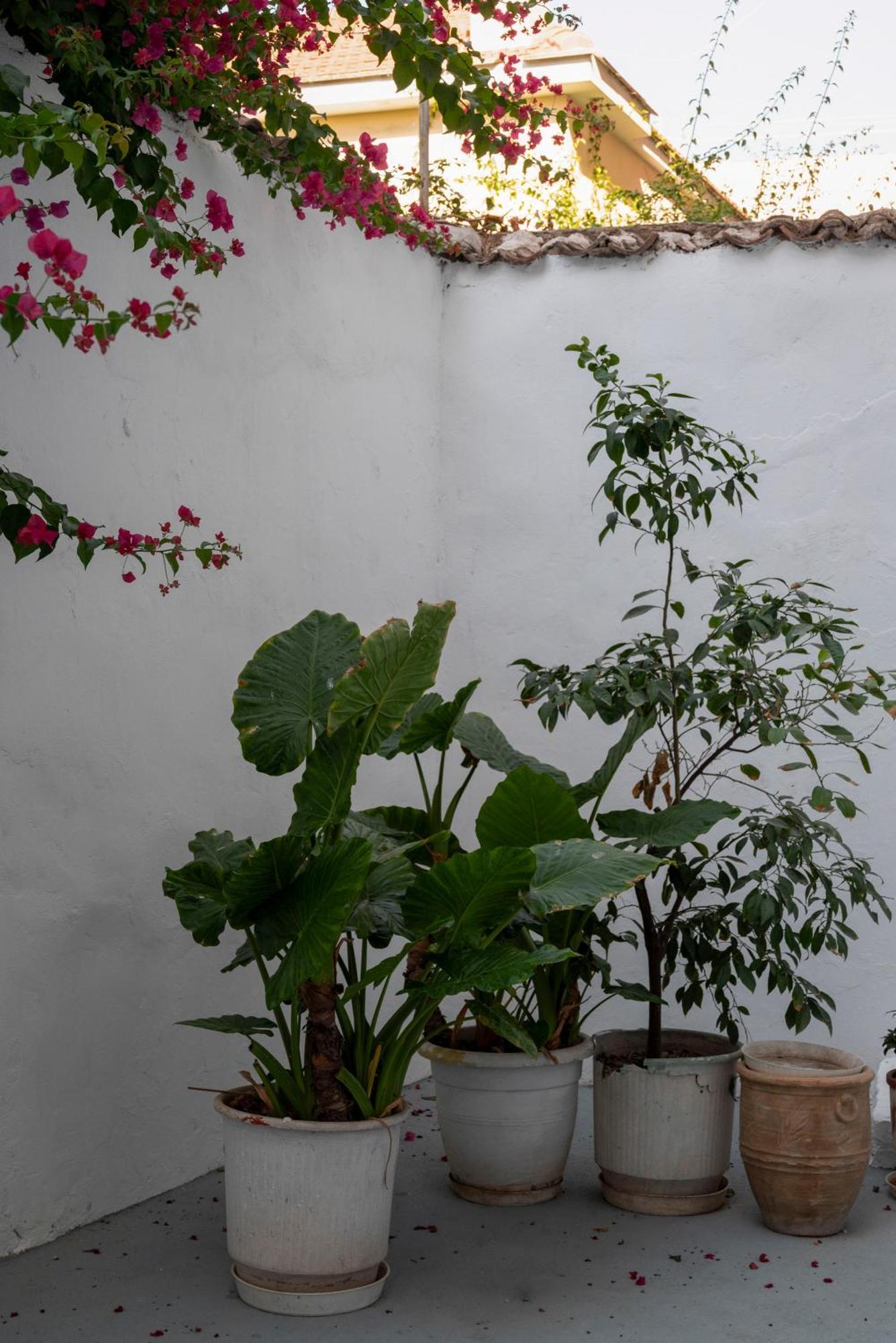 Thissio Getaway 2Ba Next To Athens Ancient Market Esterno foto